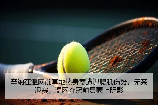 辛纳在温网前草地热身赛遭遇腹肌伤势，无奈退赛，温网夺冠前景蒙上阴影（Baowei Sports）