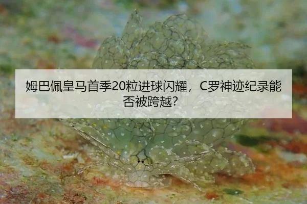姆巴佩皇马首季20粒进球闪耀，C罗神迹纪录能否被跨越？（Baowei Sports）